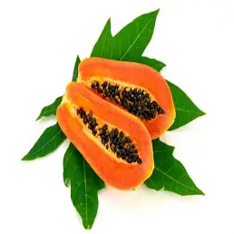Papain Powder