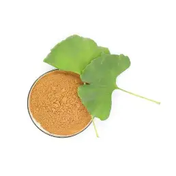 Gingko Biloba Extract